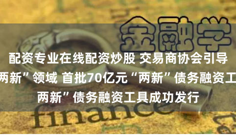配资专业在线配资炒股 交易商协会引导资金聚焦“两新”领域 首批70亿元“两新”债务融资工具成功发行